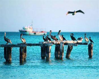 Palapas Las Gonzas Hotel Isla Holbox Exterior photo